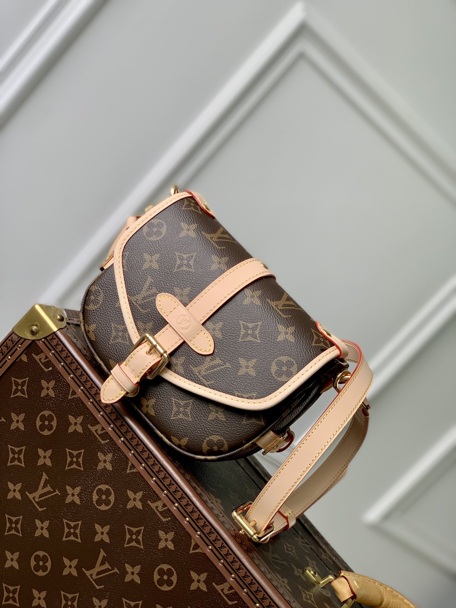 LV Satchel bags